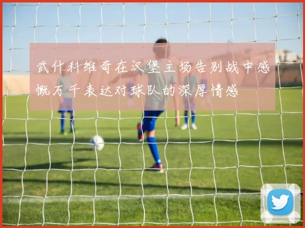 武什科维奇在汉堡主场告别战中感慨万千表达对球队的深厚情感